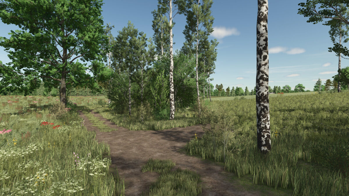 Lipinki Map v 1.4