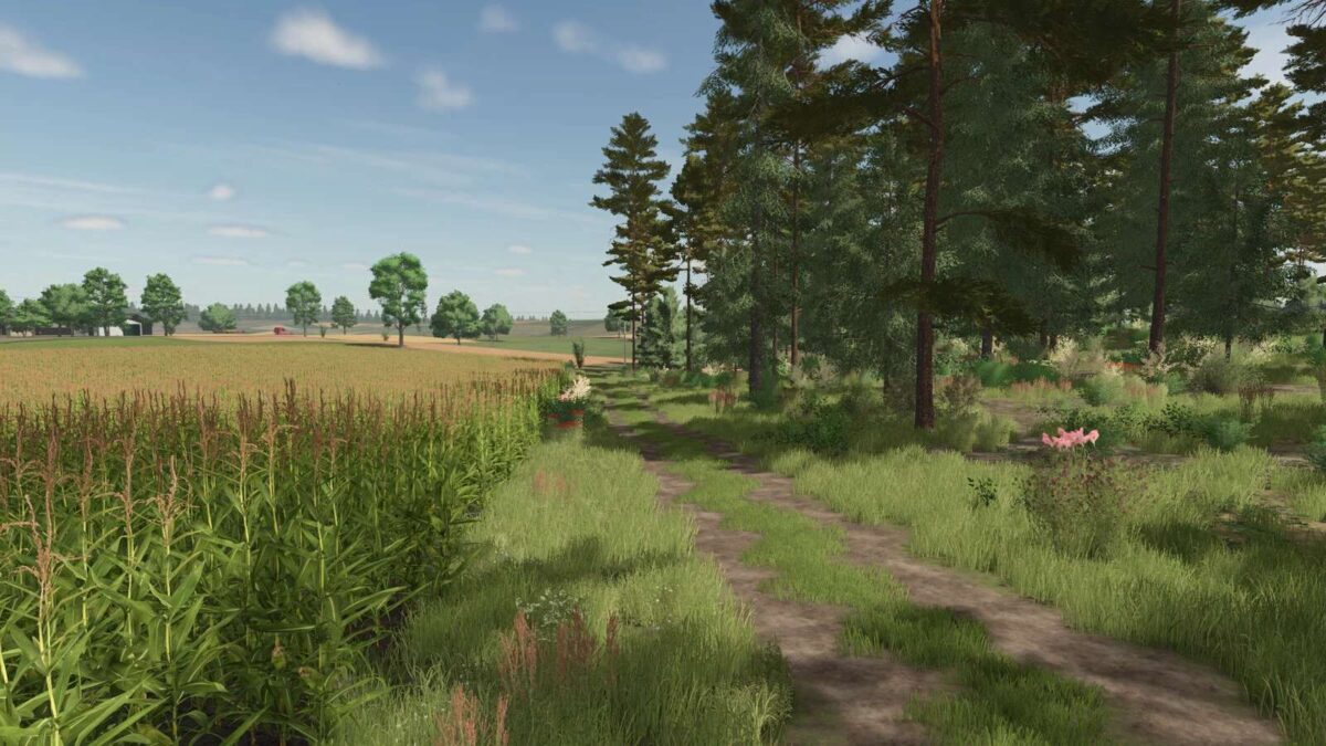 Cybuchowo Map v 1.1.1